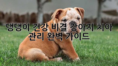 댕댕이 건강 비결! 강아지 치아 관리 완벽 가이드🐶
