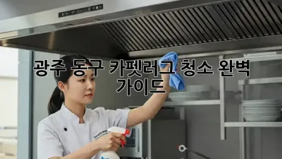 광주 동구 카펫&러그 청소 완벽 가이드!