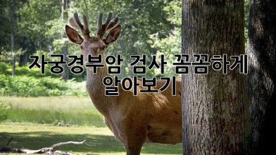 자궁경부암 검사, 꼼꼼하게 알아보기
