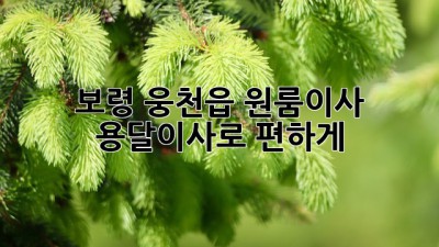 보령 웅천읍 원룸이사? 용달이사로 편하게!